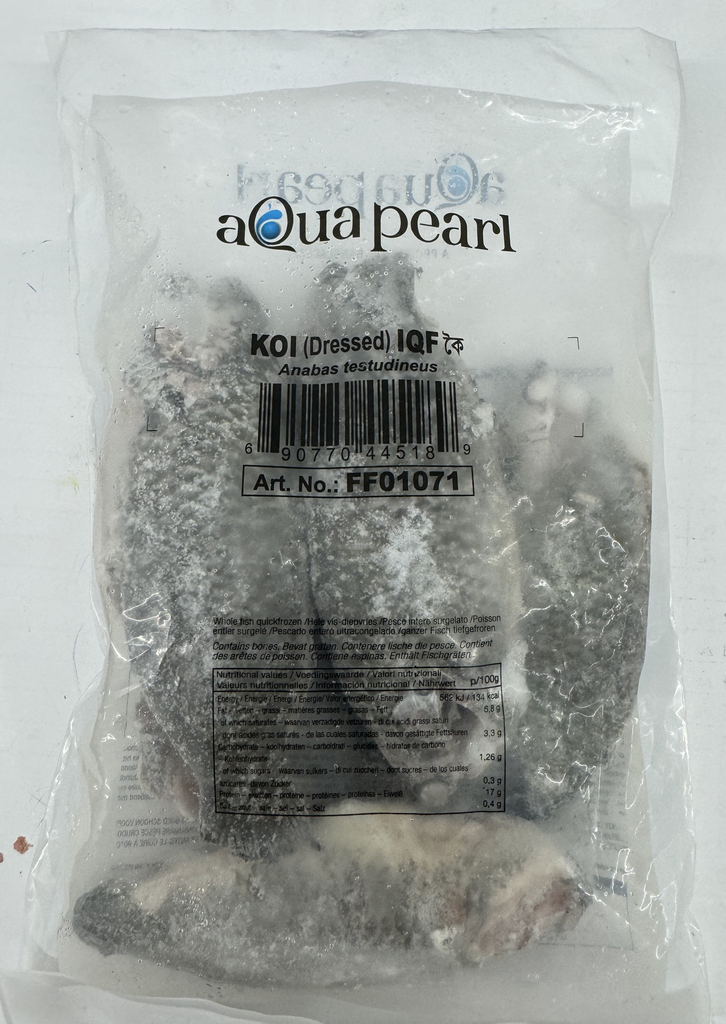 AQUA PEARL - KOI FISH DRESSED