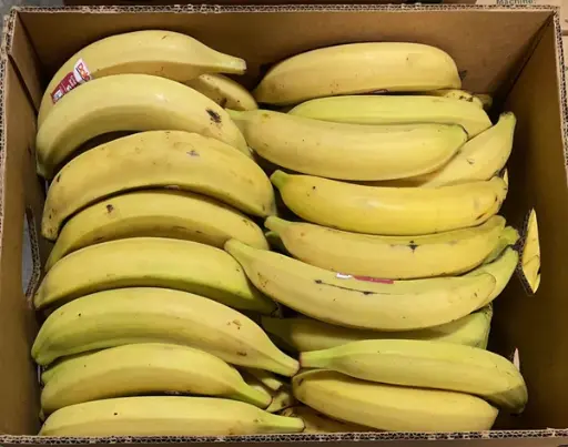 YELLOW PLANTAIN 20kg - BOX