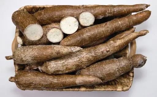 Casava  18kg BOX
