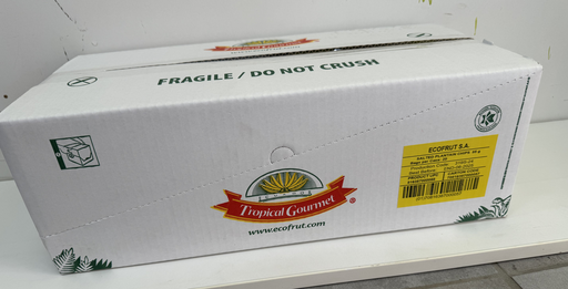 TROPICAL GOURMET - SALTED PLANTAIN CHIPS BOX (20 Pieces)