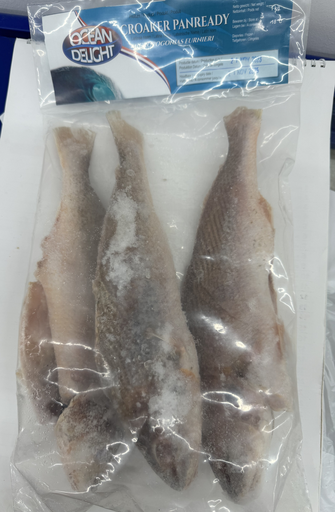 OCEAN DELIGHT - CROAKER PANREADY