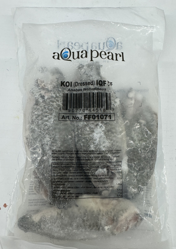 AQUA PEARL - KOI FISH DRESSED